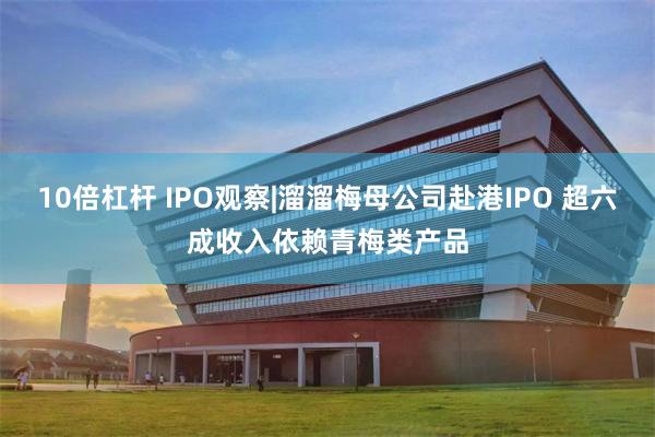 10倍杠杆 IPO观察|溜溜梅母公司赴港IPO 超六成收入依赖青梅类产品