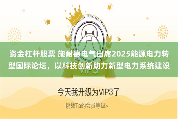 资金杠杆股票 施耐德电气出席2025能源电力转型国际论坛，以科技创新助力新型电力系统建设