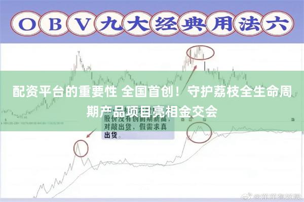 配资平台的重要性 全国首创！守护荔枝全生命周期产品项目亮相金交会