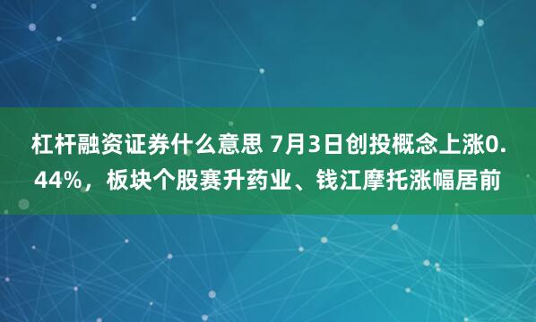 杠杆融资证券什么意思 7月3日创投概念上涨0.44%，板块个股赛升药业、钱江摩托涨幅居前