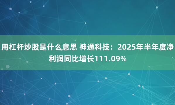 用杠杆炒股是什么意思 神通科技：2025年半年度净利润同比增长111.09%