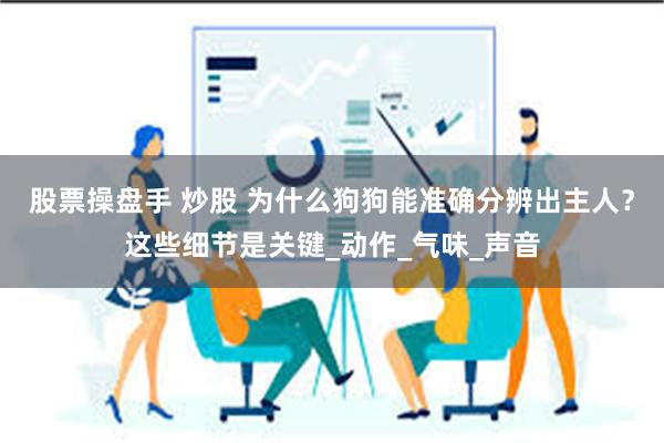 股票操盘手 炒股 为什么狗狗能准确分辨出主人？这些细节是关键_动作_气味_声音