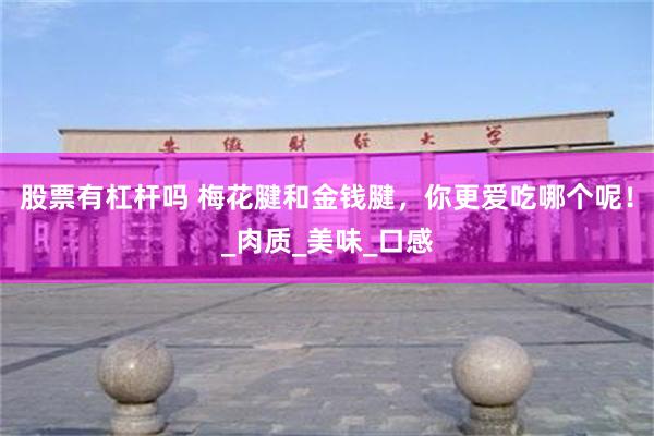 股票有杠杆吗 梅花腱和金钱腱，你更爱吃哪个呢！_肉质_美味_口感