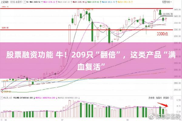 股票融资功能 牛！209只“翻倍”，这类产品“满血复活”