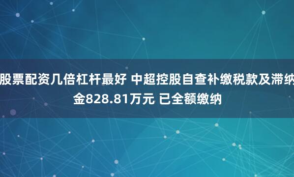 股票配资几倍杠杆最好 中超控股自查补缴税款及滞纳金828.81万元 已全额缴纳