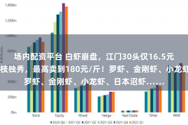 场内配资平台 白虾崩盘，江门30头仅16.5元/斤！日本对虾一枝独秀，最高卖到180元/斤！罗虾、金刚虾、小龙虾、日本沼虾……