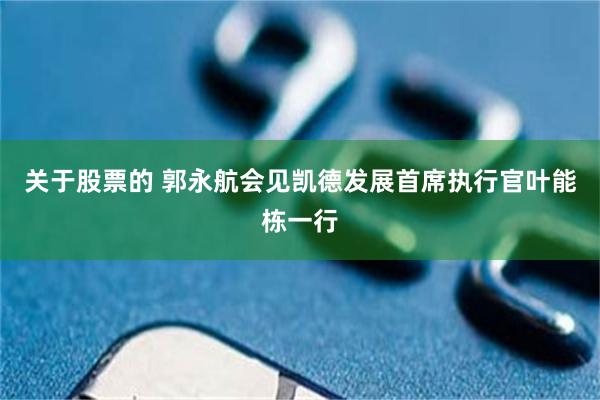 关于股票的 郭永航会见凯德发展首席执行官叶能栋一行