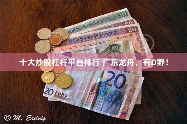 十大炒股杠杆平台排行 广东龙舟,有D野!