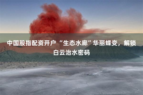 中国股指配资开户 “生态水廊”华丽蝶变，解锁白云治水密码