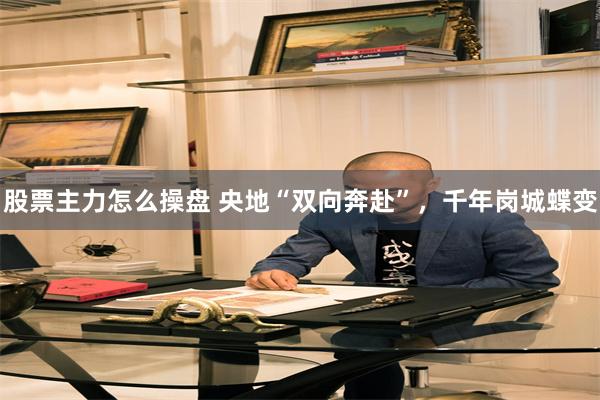 股票主力怎么操盘 央地“双向奔赴”,千年岗城蝶变