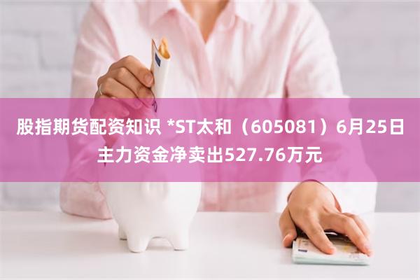 股指期货配资知识 *ST太和（605081）6月25日主力资金净卖出527.76万元