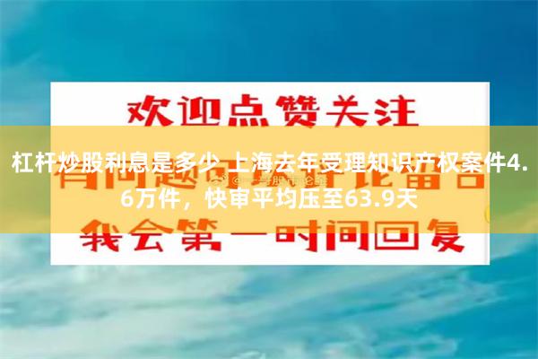 杠杆炒股利息是多少 上海去年受理知识产权案件4.6万件，快审平均压至63.9天