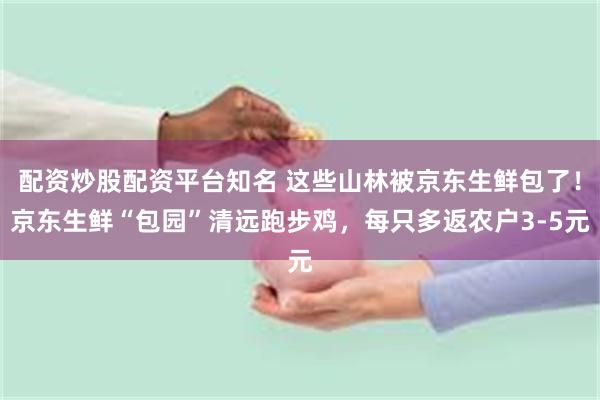 配资炒股配资平台知名 这些山林被京东生鲜包了！京东生鲜“包园”清远跑步鸡，每只多返农户3-5元