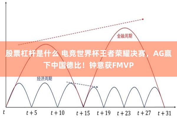 股票杠杆是什么 电竞世界杯王者荣耀决赛，AG赢下中国德比！钟意获FMVP