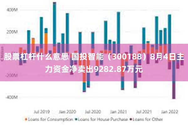 股票杠杆什么意思 国投智能（300188）8月4日主力资金净卖出9282.87万元