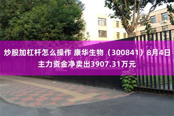 炒股加杠杆怎么操作 康华生物（300841）8月4日主力资金净卖出3907.31万元