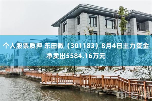 个人股票质押 东田微（301183）8月4日主力资金净卖出5584.16万元