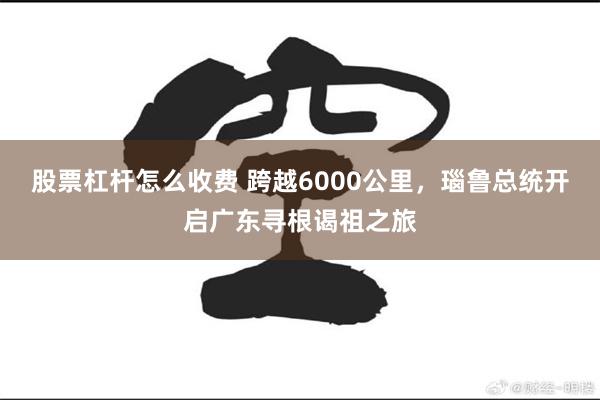 股票杠杆怎么收费 跨越6000公里，瑙鲁总统开启广东寻根谒祖之旅