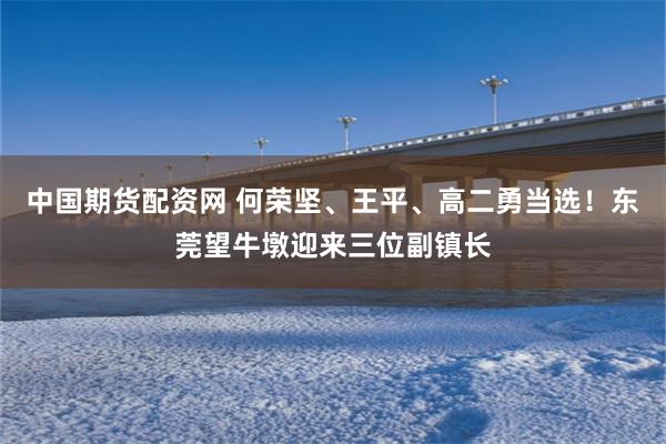 中国期货配资网 何荣坚、王平、高二勇当选！东莞望牛墩迎来三位副镇长