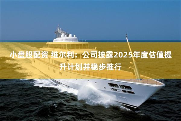 小盘股配资 维尔利：公司披露2025年度估值提升计划并稳步推行