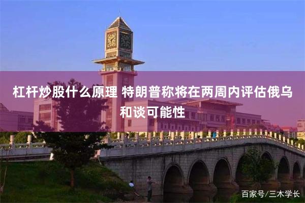 杠杆炒股什么原理 特朗普称将在两周内评估俄乌和谈可能性