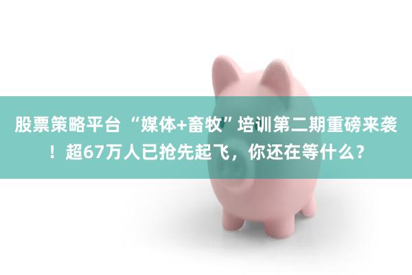 股票策略平台 “媒体+畜牧”培训第二期重磅来袭！超67万人已抢先起飞，你还在等什么？
