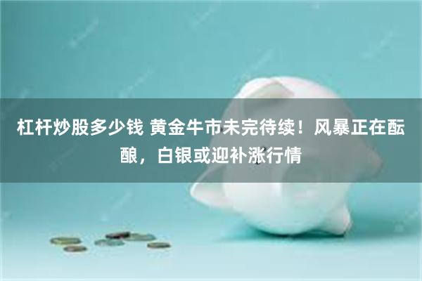 杠杆炒股多少钱 黄金牛市未完待续！风暴正在酝酿，白银或迎补涨行情
