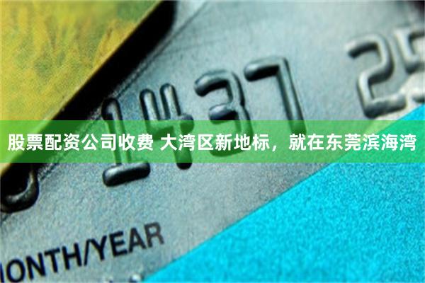 股票配资公司收费 大湾区新地标，就在东莞滨海湾