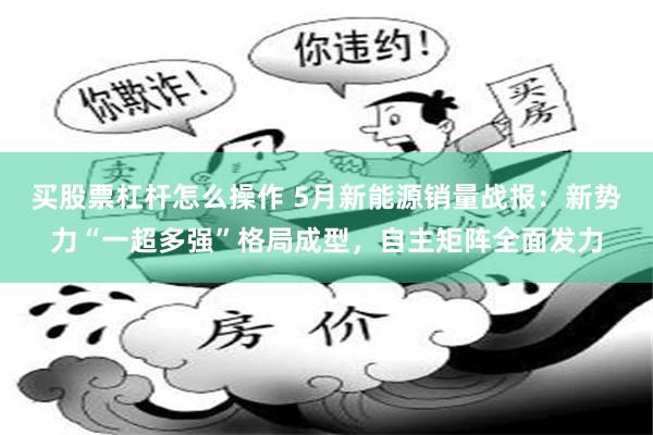 买股票杠杆怎么操作 5月新能源销量战报：新势力“一超多强”格局成型，自主矩阵全面发力