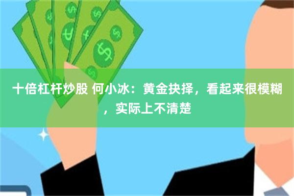 十倍杠杆炒股 何小冰：黄金抉择，看起来很模糊，实际上不清楚