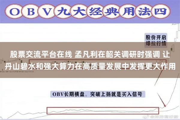 股票交流平台在线 孟凡利在韶关调研时强调 让丹山碧水和强大算力在高质量发展中发挥更大作用