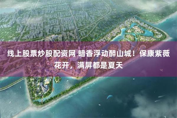 线上股票炒股配资网 暗香浮动醉山城！保康紫薇花开，满屏都是夏天