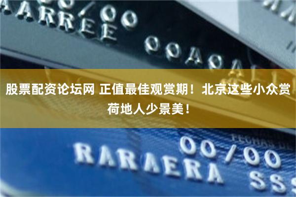 股票配资论坛网 正值最佳观赏期!北京这些小众赏荷地人少景美!