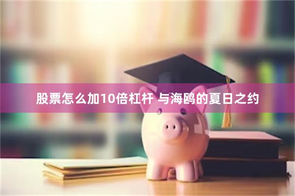 股票怎么加10倍杠杆 与海鸥的夏日之约