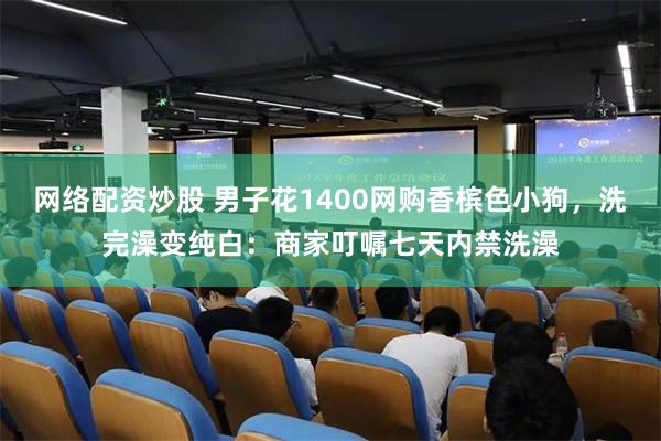网络配资炒股 男子花1400网购香槟色小狗，洗完澡变纯白：商家叮嘱七天内禁洗澡