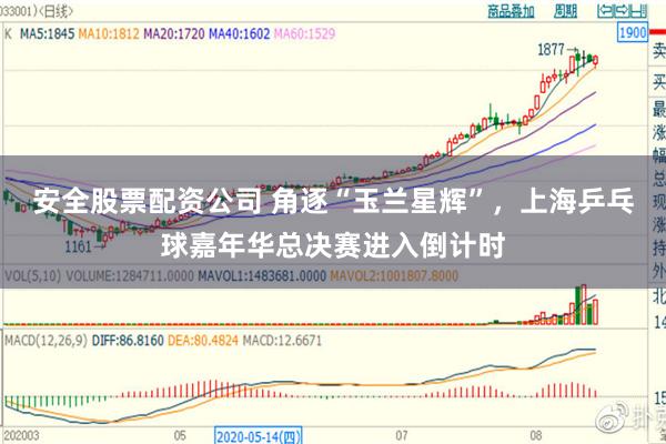安全股票配资公司 角逐“玉兰星辉”，上海乒乓球嘉年华总决赛进入倒计时